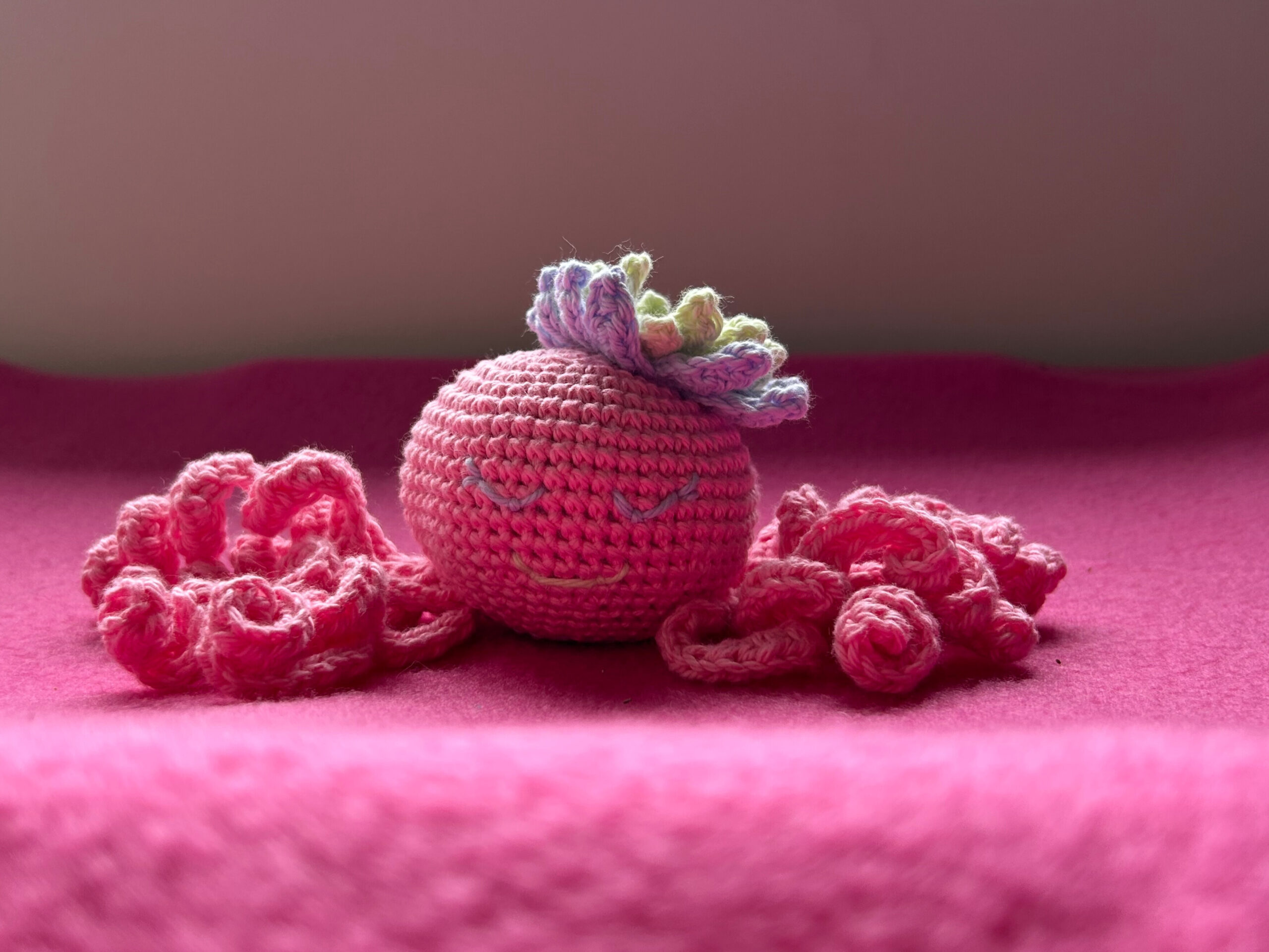 Finished Crocheted Octopus front view